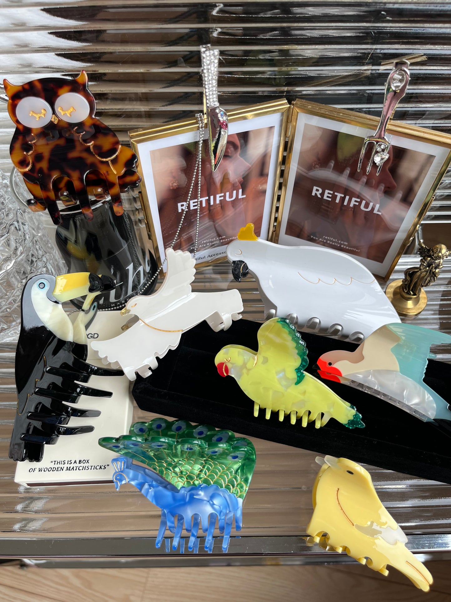 Garra de pelo de pájaro pavo real colorido